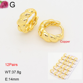 F2E202230ajma-J201  Fashion Copper Earrings