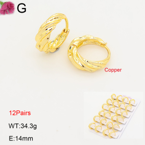 F2E202231ajma-J201  Fashion Copper Earrings