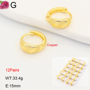 F2E202232ajma-J201  Fashion Copper Earrings