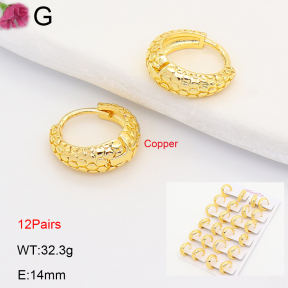 F2E202233ajma-J201  Fashion Copper Earrings