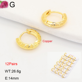 F2E202234ajma-J201  Fashion Copper Earrings