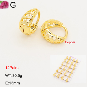 F2E202235ajma-J201  Fashion Copper Earrings
