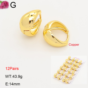 F2E202236ajma-J201  Fashion Copper Earrings