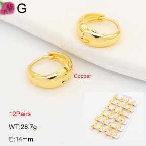 F2E202237ajma-J201  Fashion Copper Earrings