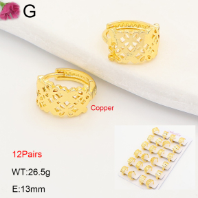 F2E202238ajma-J201  Fashion Copper Earrings