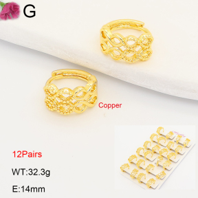 F2E202239ajma-J201  Fashion Copper Earrings