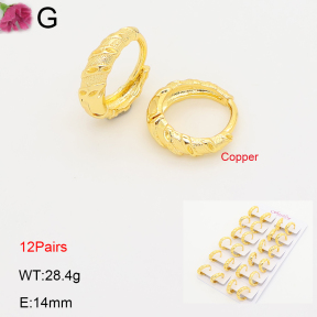 F2E202241ajma-J201  Fashion Copper Earrings