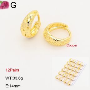 F2E202242ajma-J201  Fashion Copper Earrings