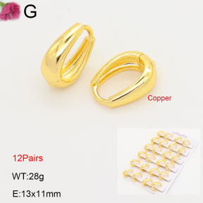F2E202243ajma-J201  Fashion Copper Earrings