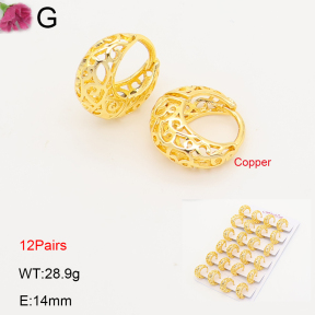 F2E202246ajma-J201  Fashion Copper Earrings