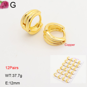 F2E202247ajma-J201  Fashion Copper Earrings