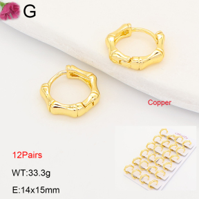F2E202248ajma-J201  Fashion Copper Earrings