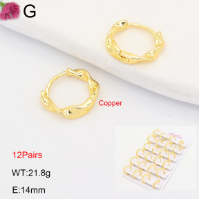 F2E202249ajma-J201  Fashion Copper Earrings