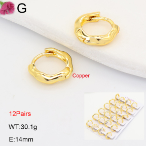 F2E202250ajma-J201  Fashion Copper Earrings