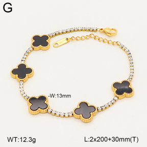2B4005989ahlv-436  Stainless Steel Bracelet