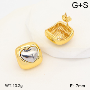 2E2007270bvpl-452  Stainless Steel Earrings