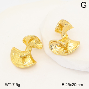 2E2007271abol-452  Stainless Steel Earrings