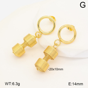2E2007272vbnl-452  Stainless Steel Earrings