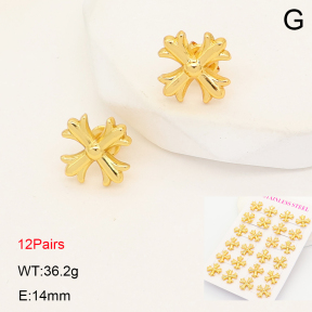2E2007278vhov-446  Stainless Steel Earrings