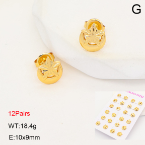 2E2007280vhov-446  Stainless Steel Earrings