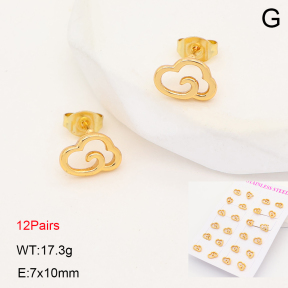 2E2007281vhov-446  Stainless Steel Earrings