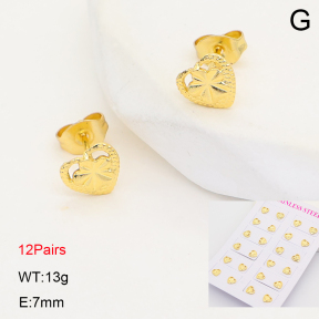 2E2007282vhov-446  Stainless Steel Earrings
