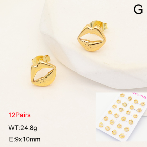 2E2007284vhov-446  Stainless Steel Earrings