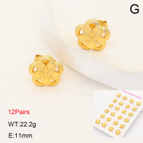 2E2007286vhov-446  Stainless Steel Earrings