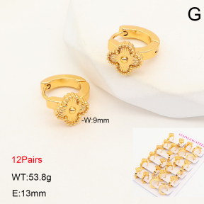 2E2007287ainm-446  Stainless Steel Earrings
