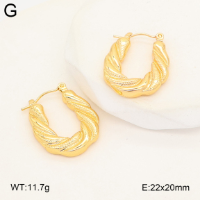 2E2007288bbov-253  Stainless Steel Earrings