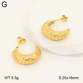 2E2007291abol-253  Stainless Steel Earrings