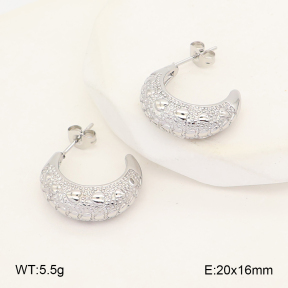 2E2007292vbnl-253  Stainless Steel Earrings