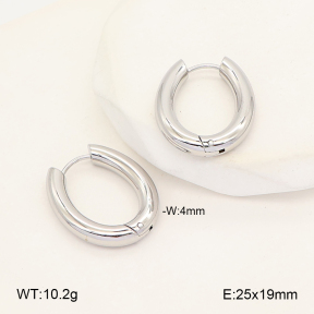 2E2007293vbnb-253  Stainless Steel Earrings