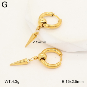 2E2007294vbll-253  Stainless Steel Earrings