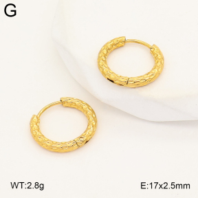 2E2007295vbmb-253  Stainless Steel Earrings