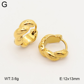 2E2007296vbll-253  Stainless Steel Earrings