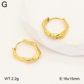 2E2007297vbll-253  Stainless Steel Earrings