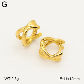 2E2007298bhva-253  Stainless Steel Earrings
