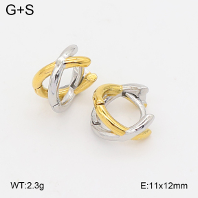 2E2007299bhia-253  Stainless Steel Earrings