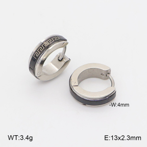 2E2007300ablb-253  Stainless Steel Earrings