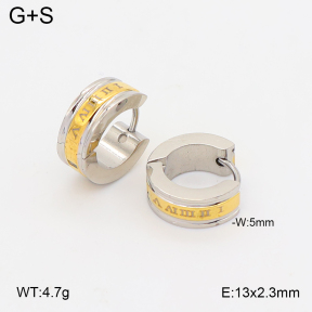 2E2007301vbmb-253  Stainless Steel Earrings