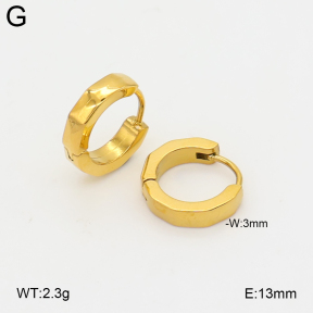 2E2007302vbll-253  Stainless Steel Earrings