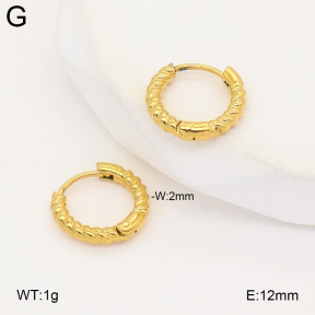 2E2007303vbll-253  Stainless Steel Earrings