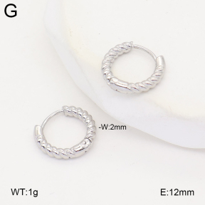 2E2007304ablb-253  Stainless Steel Earrings