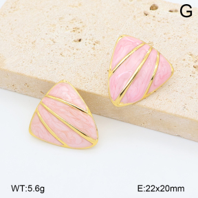 2E3004160vbnb-452  Stainless Steel Earrings