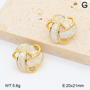 2E3004164vbnb-452  Stainless Steel Earrings