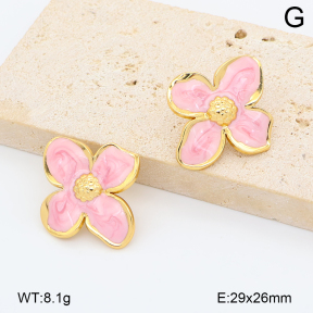 2E3004166vbnb-452  Stainless Steel Earrings