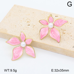 2E3004173vbnl-452  Stainless Steel Earrings
