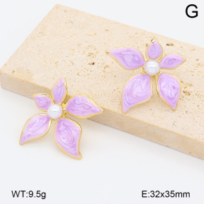2E3004174vbnl-452  Stainless Steel Earrings