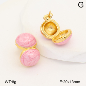 2E3004175abol-452  Stainless Steel Earrings